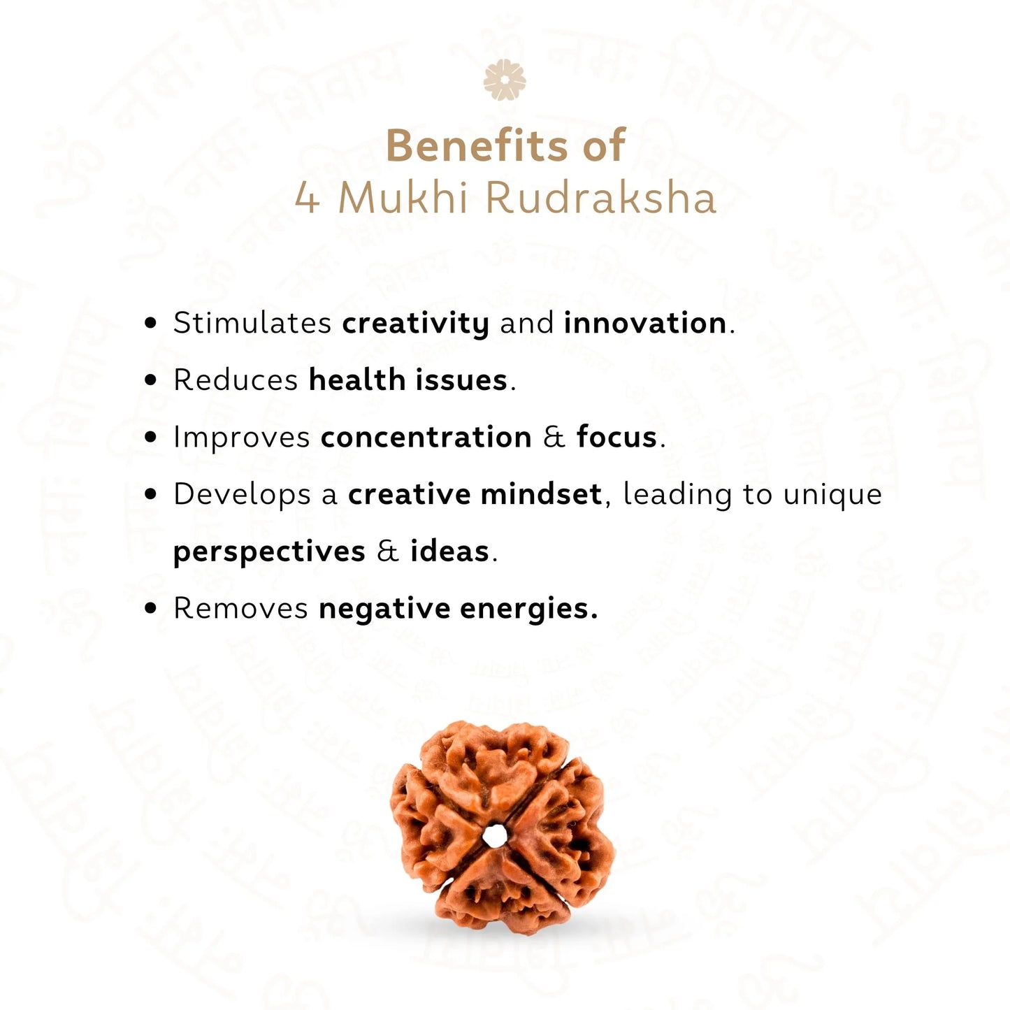 4 Mukhi Rudraksha ( Nepali )