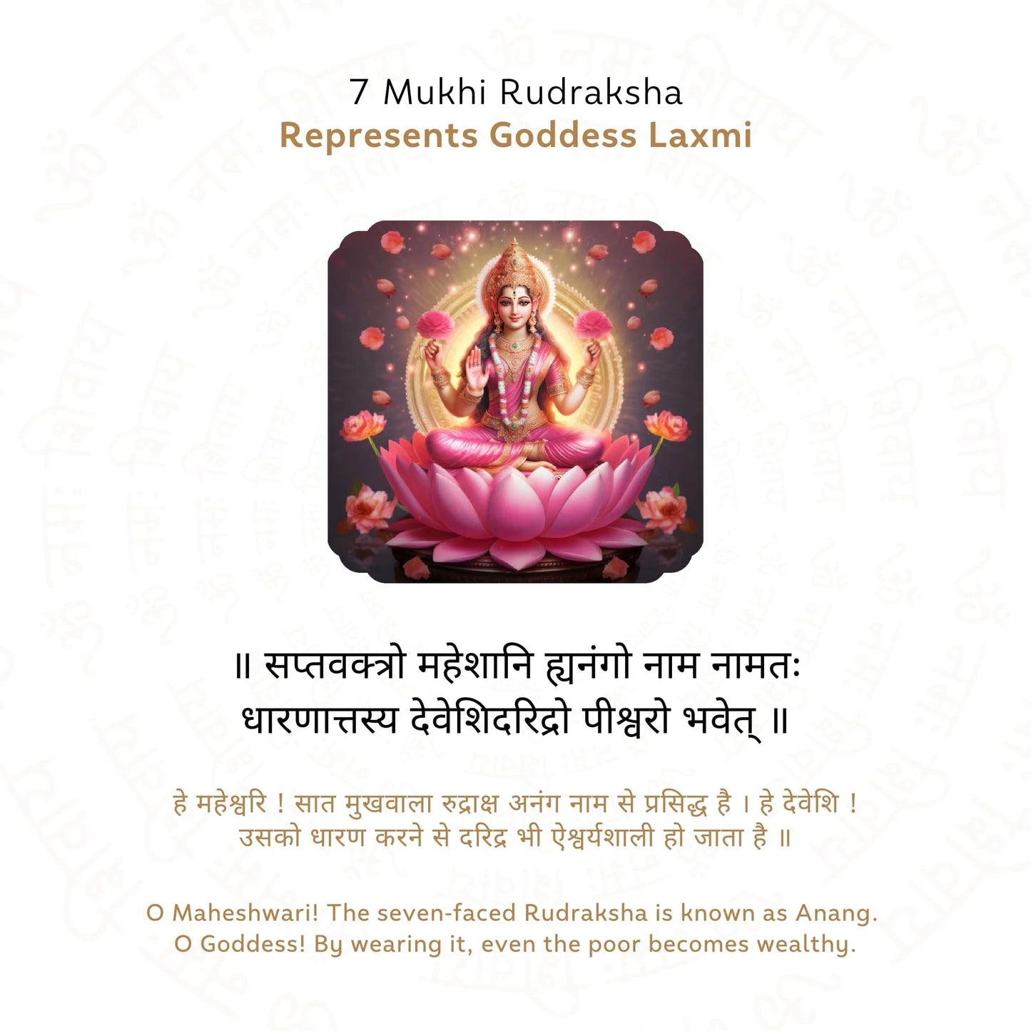 7 Mukhi Rudraksha ( Nepali )