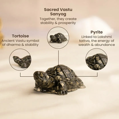 Vastu Pyrite Tortoise (Kachhua) (Lab certified )