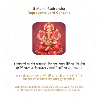 8 Mukhi Rudraksha ( Nepali )