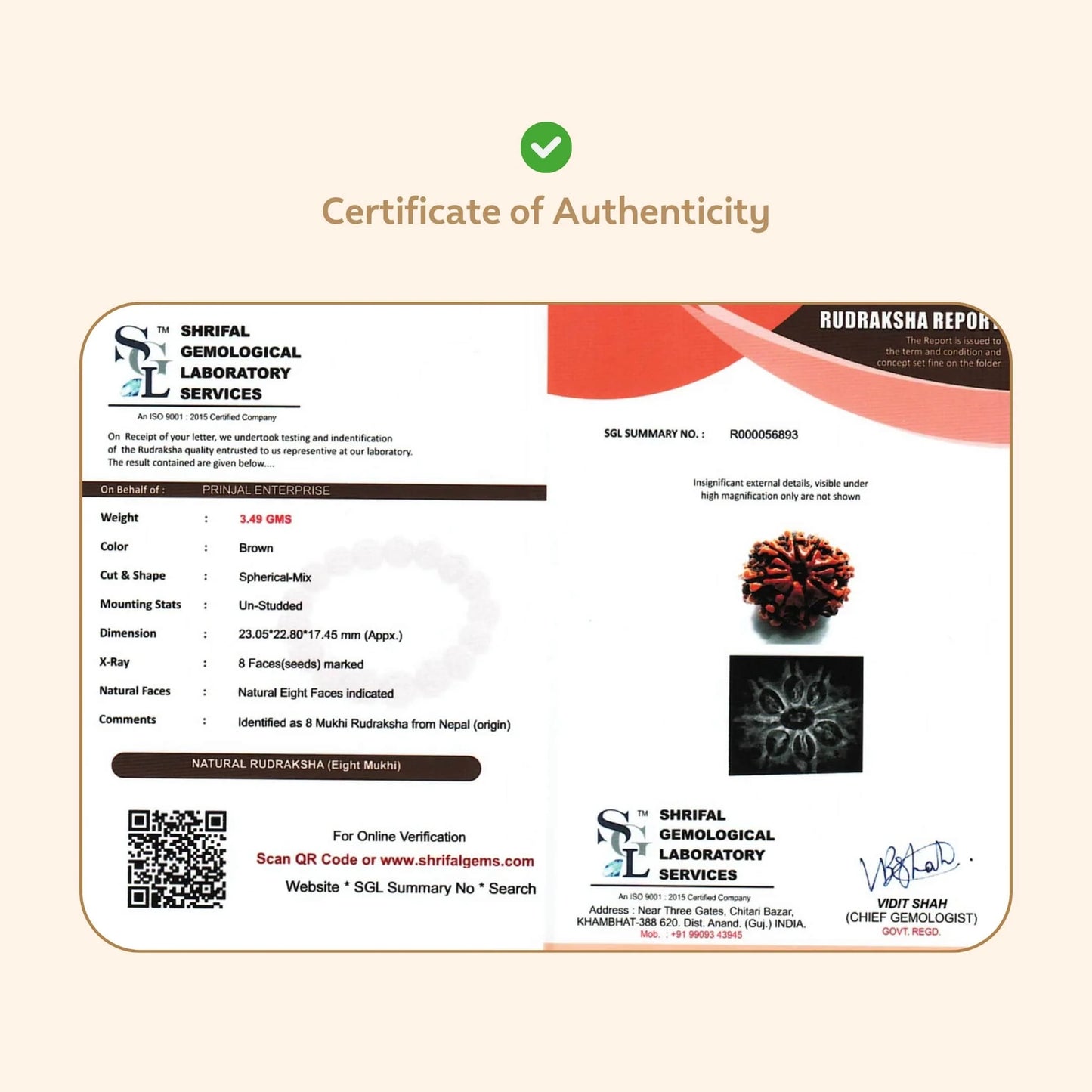 8 Mukhi Rudraksha ( Nepali )