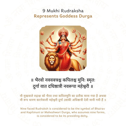 9 Mukhi Rudraksha ( Nepali )