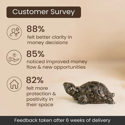 Vastu Pyrite Tortoise (Kachhua) (Lab certified )