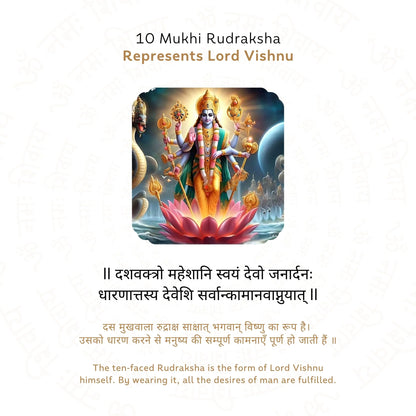 10 Mukhi Rudraksha ( Nepali )