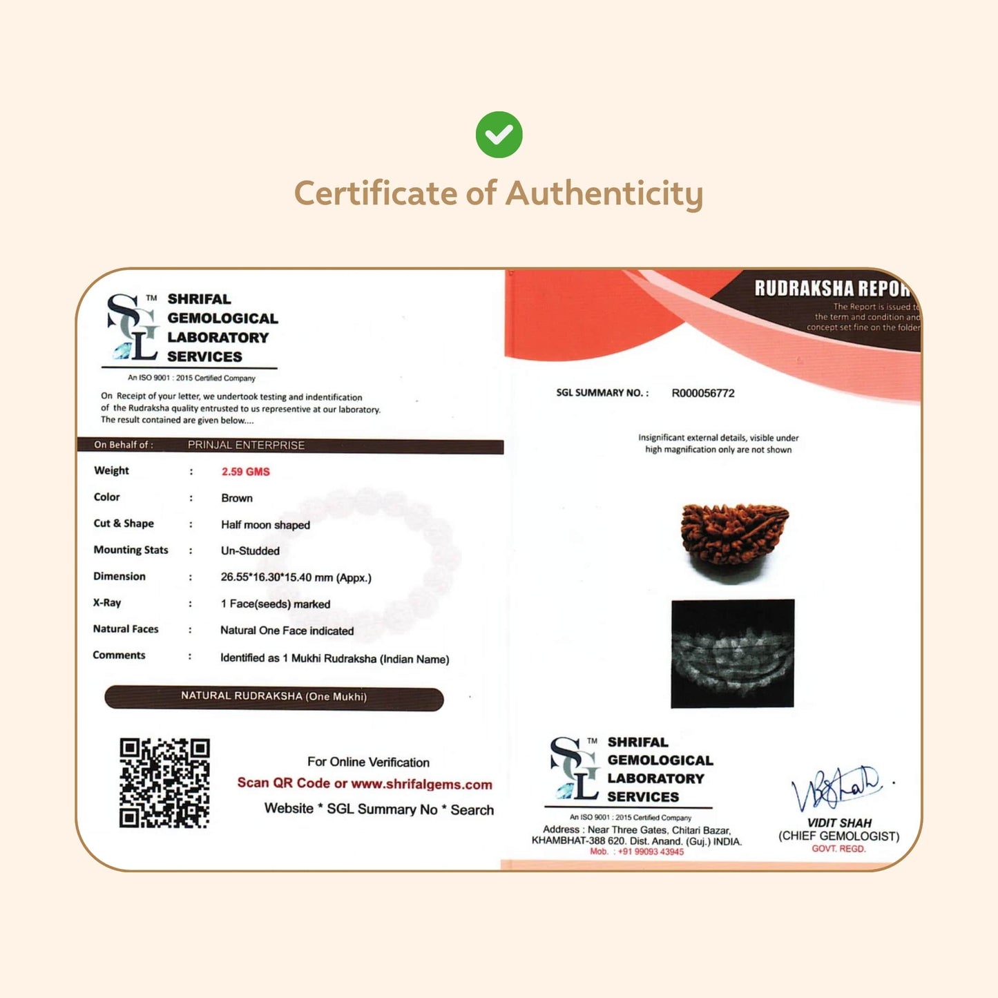 Premium 1 Mukhi Rudraksha