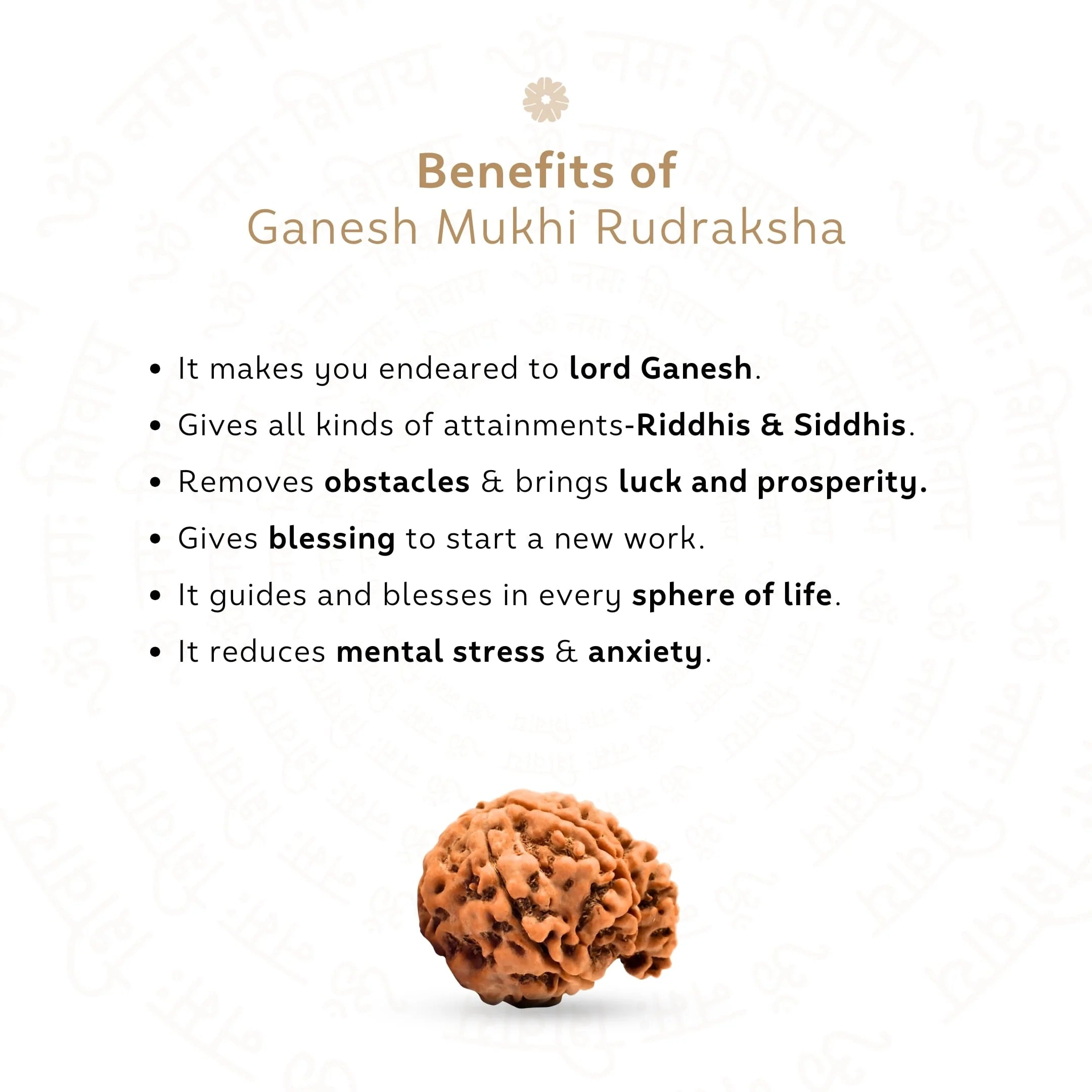 Ganesh 5 Mukhi Rudraksha (Nepali)