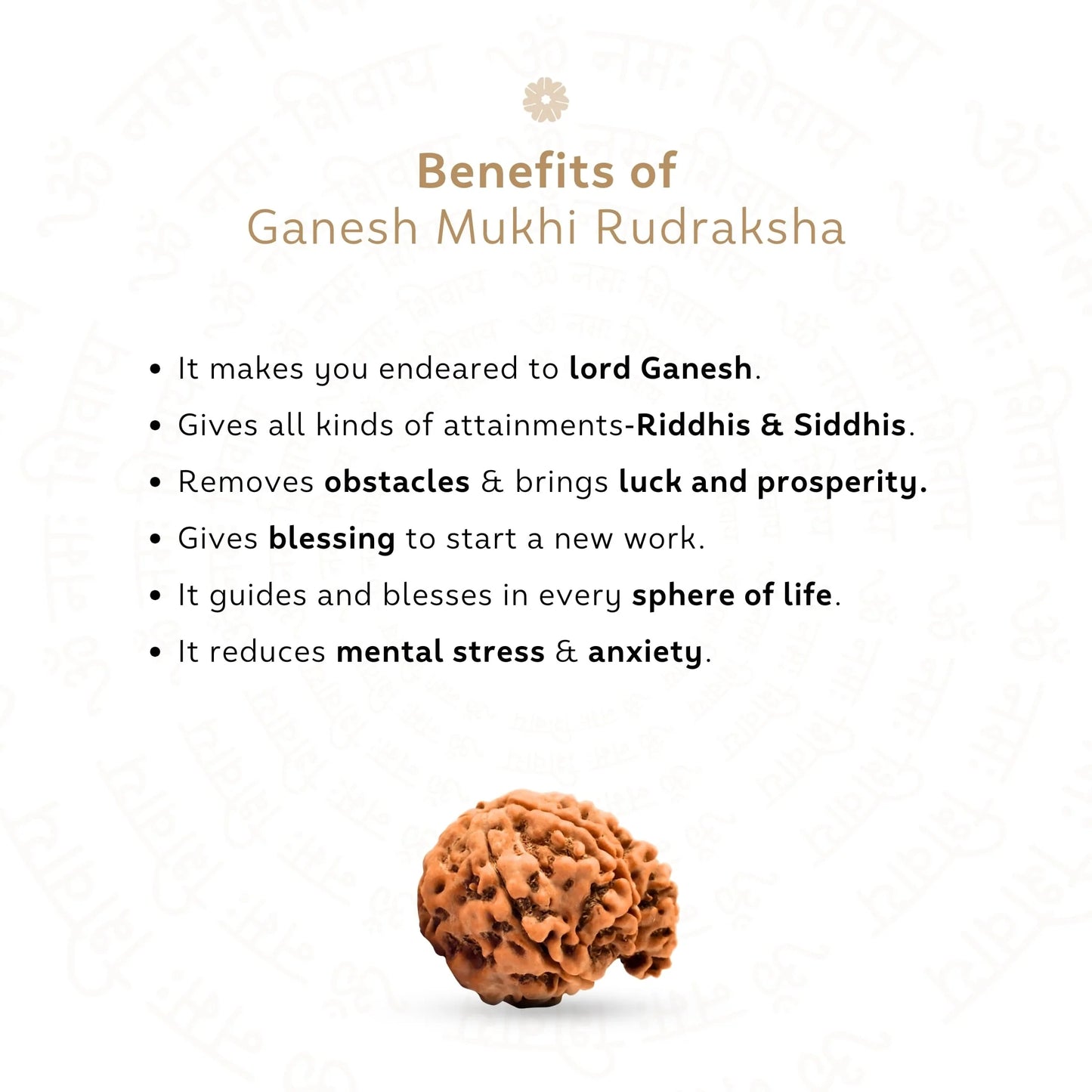 Ganesh 5 Mukhi Rudraksha (Nepali)