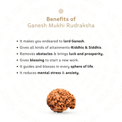 Ganesh 5 Mukhi Rudraksha (Nepali)