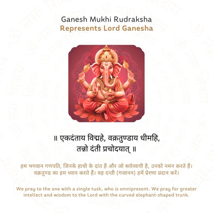 Ganesh 5 Mukhi Rudraksha (Nepali)