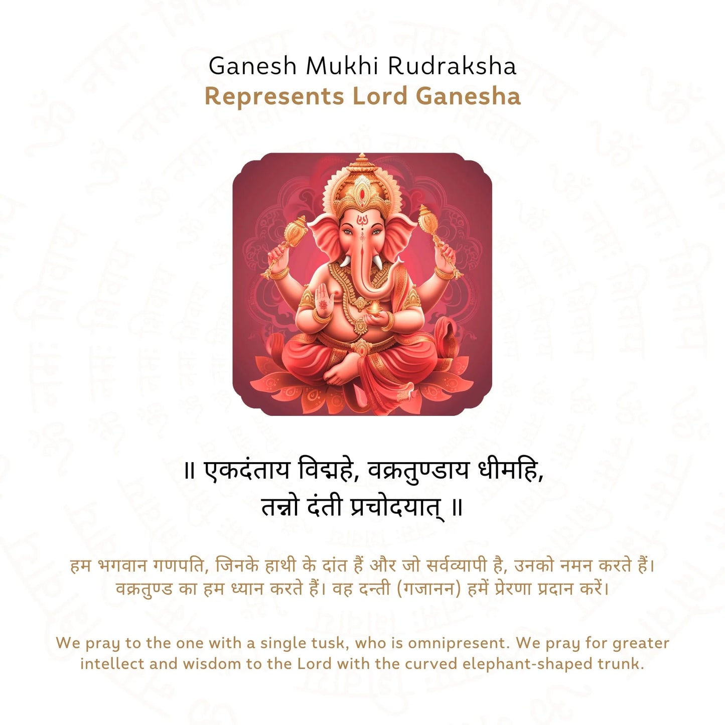 Ganesh 6 Mukhi Rudraksha (Nepali)