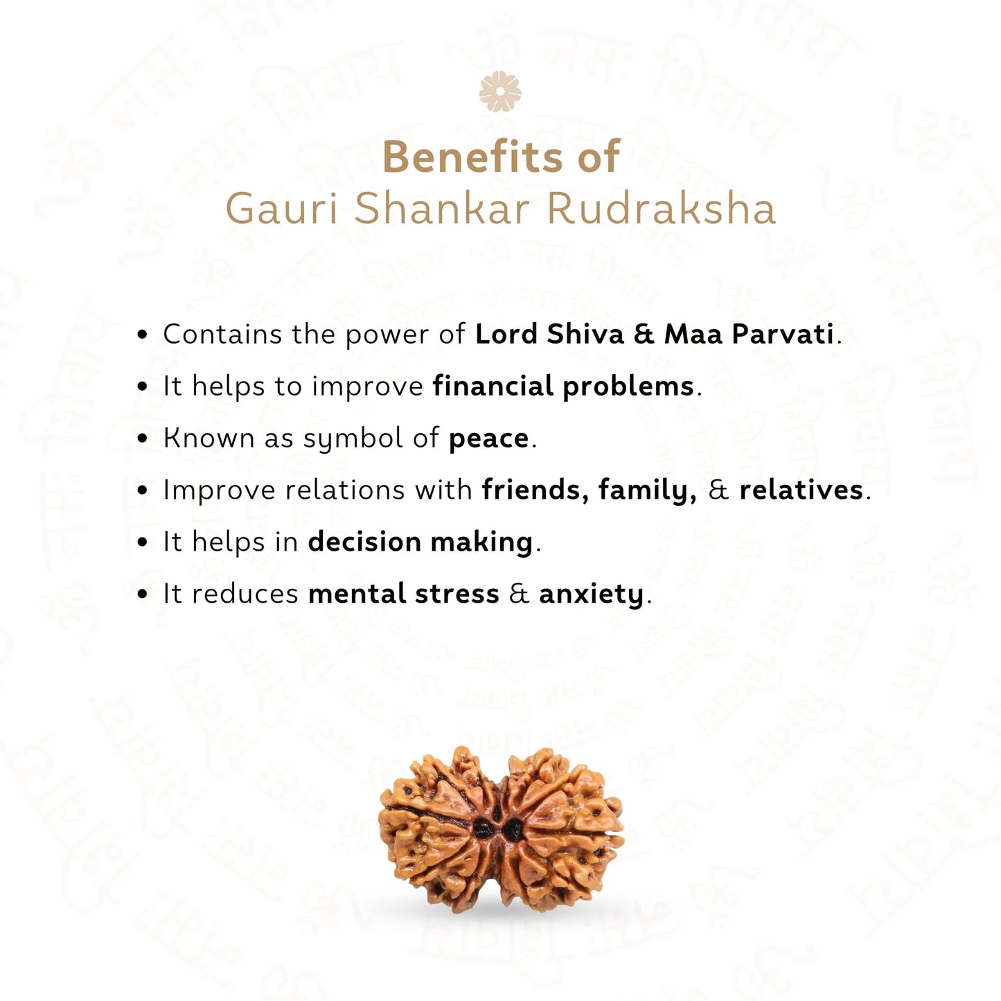 Sale Gauri Shankar Rudraksha (Nepali)