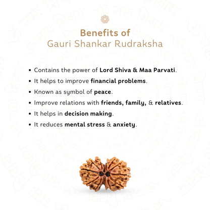 Sale Gauri Shankar Rudraksha (Nepali)