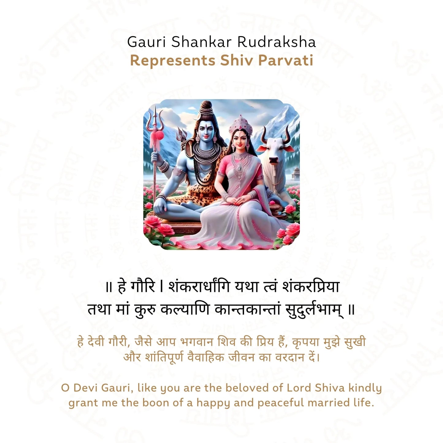 Sale Gauri Shankar Rudraksha (Nepali)